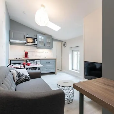 Le Paris Eiffel - Appartement Cosy En Plein Centre Bourgoin-Jallieu Exterior photo