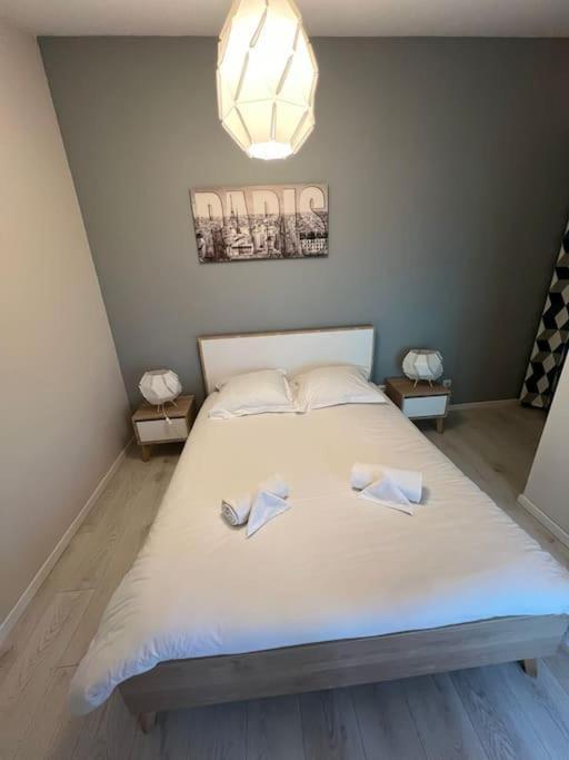 Le Paris Eiffel - Cosy En Plein Centre * Bourgoin-Jallieu